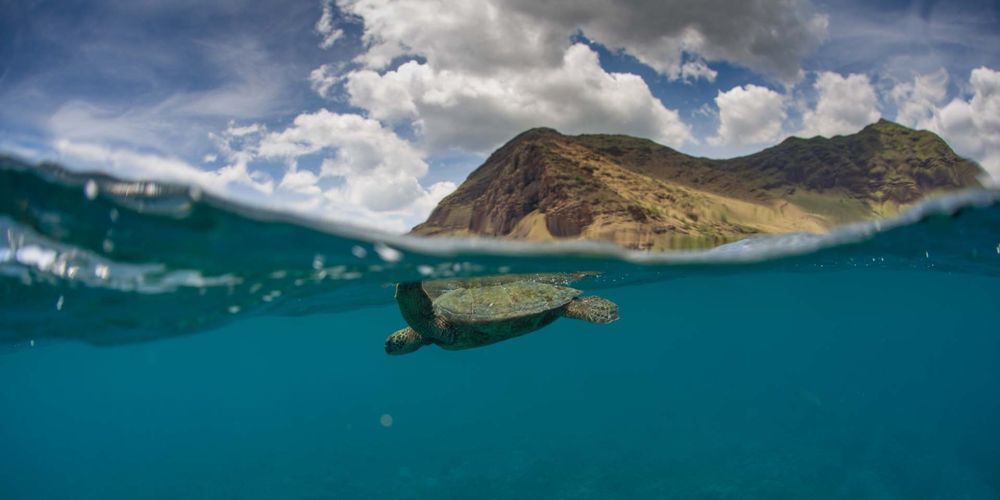 Отдых на Гавайских островах - Оаху и Мауи